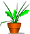 green plant